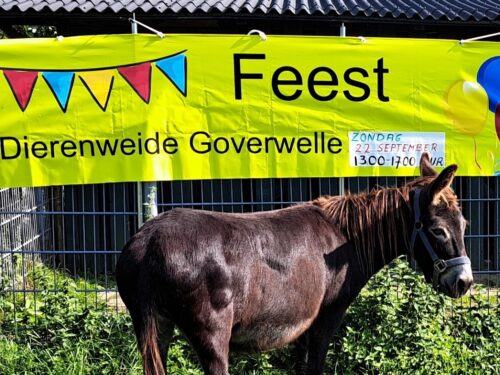 Gouda Goverwelle - Dierenweide - Nazomerfeest bij de Dierenweide Goverwelle